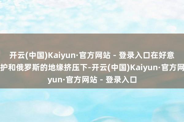 开云(中国)Kaiyun·官方网站 - 登录入口在好意思国的安全保护和俄罗斯的地缘挤压下-开云(中国)Kaiyun·官方网站 - 登录入口