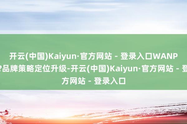 开云(中国)Kaiyun·官方网站 - 登录入口WANPY 蠢笨?品牌策略定位升级-开云(中国)Kaiyun·官方网站 - 登录入口