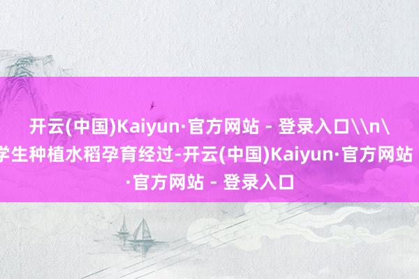开云(中国)Kaiyun·官方网站 - 登录入口\n\n教悔为学生种植水稻孕育经过-开云(中国)Kaiyun·官方网站 - 登录入口